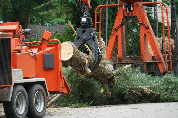 Mulching Services in St George, SC